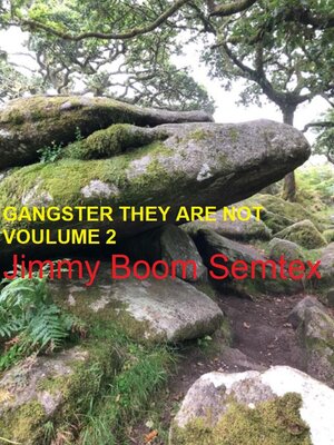 cover image of Gangster They Are Not Volume 2